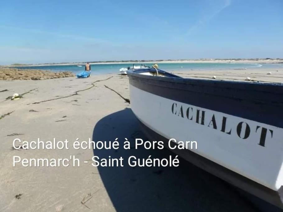 Appart-Duplex Vue Mer Panoramique Balcon & Piscine Proche Commerce Penmarc'h Exterior photo